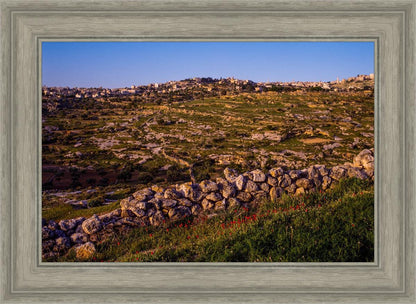 Plate 1 - Bethlehem in Early Spring