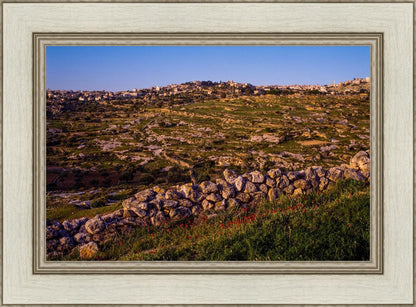 Plate 1 - Bethlehem in Early Spring