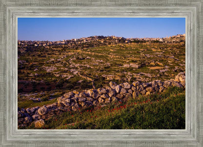 Plate 1 - Bethlehem in Early Spring