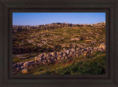 Plate 1 - Bethlehem in Early Spring