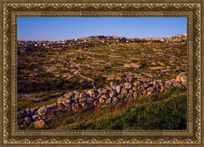 Plate 1 - Bethlehem in Early Spring