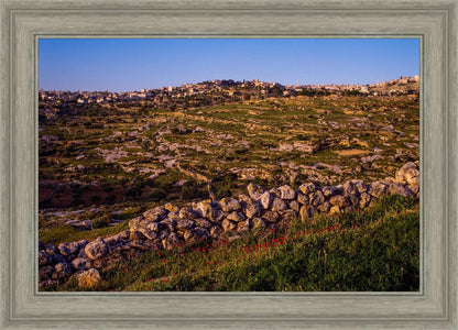 Plate 1 - Bethlehem in Early Spring
