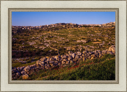 Plate 1 - Bethlehem in Early Spring