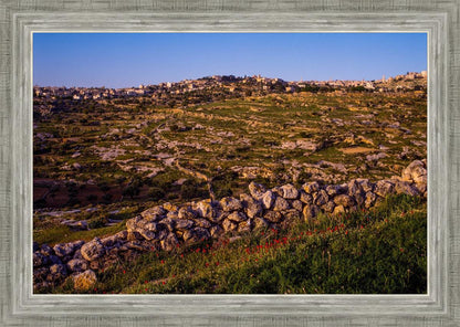 Plate 1 - Bethlehem in Early Spring