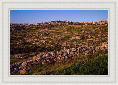Plate 1 - Bethlehem in Early Spring