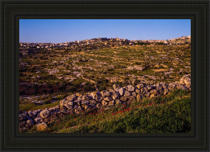 Plate 1 - Bethlehem in Early Spring