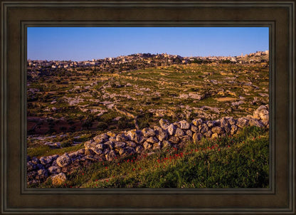 Plate 1 - Bethlehem in Early Spring