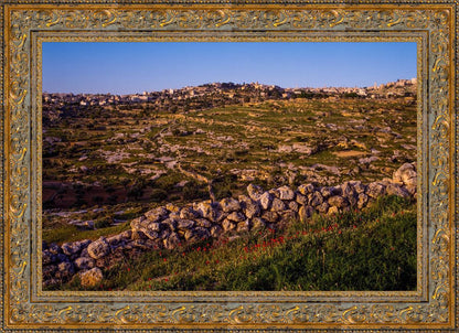 Plate 1 - Bethlehem in Early Spring