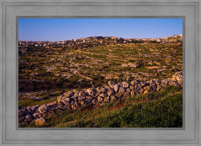 Plate 1 - Bethlehem in Early Spring