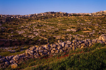 Plate 1 - Bethlehem in Early Spring