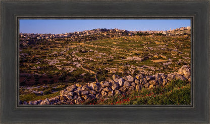 Plate 1 - Bethlehem in Early Spring