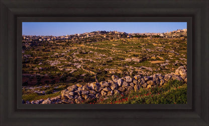 Plate 1 - Bethlehem in Early Spring