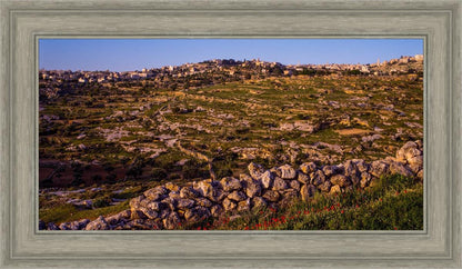 Plate 1 - Bethlehem in Early Spring