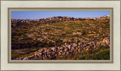 Plate 1 - Bethlehem in Early Spring
