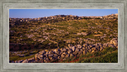 Plate 1 - Bethlehem in Early Spring