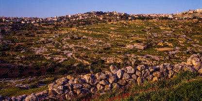 Plate 1 - Bethlehem in Early Spring