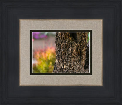 Plate 11 - Gethsemane Impression