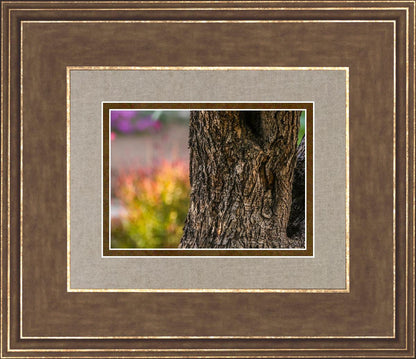 Plate 11 - Gethsemane Impression