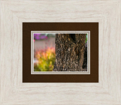 Plate 11 - Gethsemane Impression