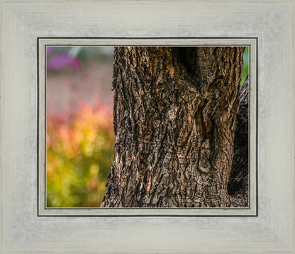 Plate 11 - Gethsemane Impression