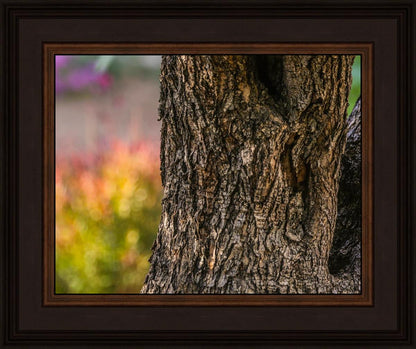 Plate 11 - Gethsemane Impression