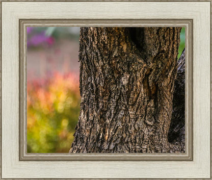 Plate 11 - Gethsemane Impression