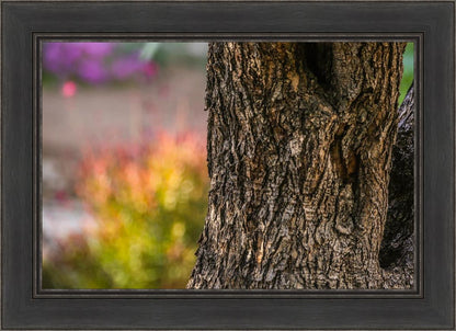 Plate 11 - Gethsemane Impression