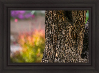 Plate 11 - Gethsemane Impression