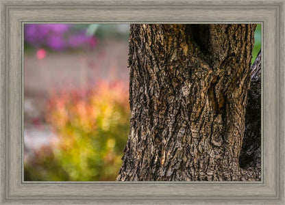 Plate 11 - Gethsemane Impression