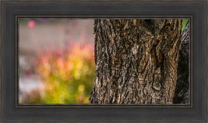 Plate 11 - Gethsemane Impression