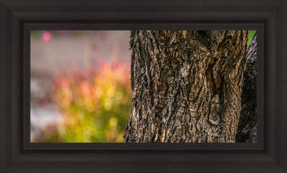 Plate 11 - Gethsemane Impression