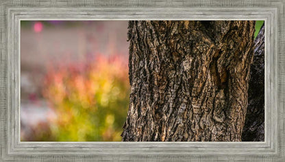 Plate 11 - Gethsemane Impression