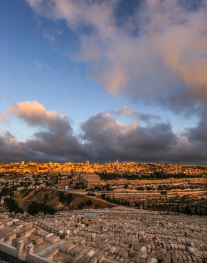 Plate 15 - O Jerusalem Vertical