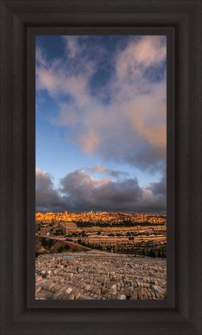 Plate 15 - O Jerusalem Vertical