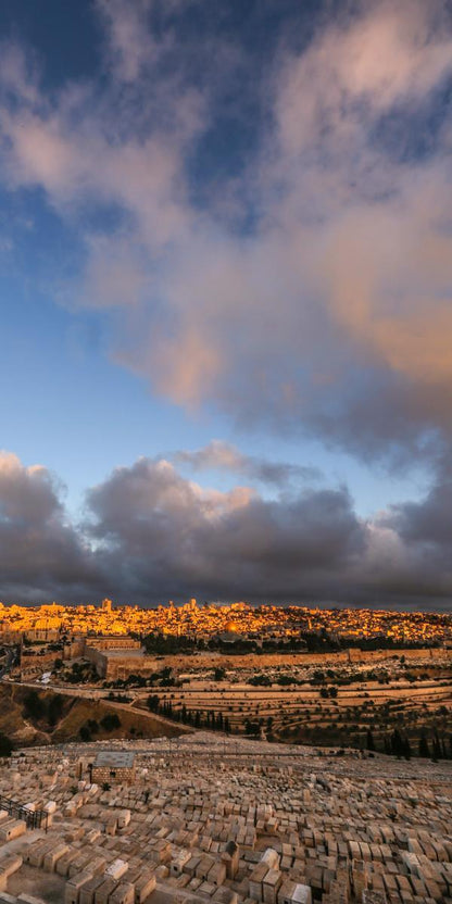 Plate 15 - O Jerusalem Vertical