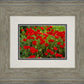 Plate 2 - Poppies in Abundance