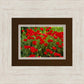 Plate 2 - Poppies in Abundance