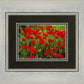 Plate 2 - Poppies in Abundance