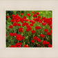 Plate 2 - Poppies in Abundance