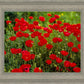 Plate 2 - Poppies in Abundance