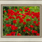 Plate 2 - Poppies in Abundance