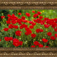Plate 2 - Poppies in Abundance