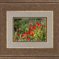 Plate 3 - Poppy Mix Judean Wilderness