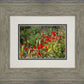 Plate 3 - Poppy Mix Judean Wilderness