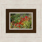 Plate 3 - Poppy Mix Judean Wilderness