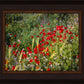 Plate 3 - Poppy Mix Judean Wilderness