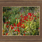 Plate 3 - Poppy Mix Judean Wilderness