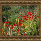 Plate 3 - Poppy Mix Judean Wilderness