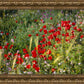Plate 3 - Poppy Mix Judean Wilderness