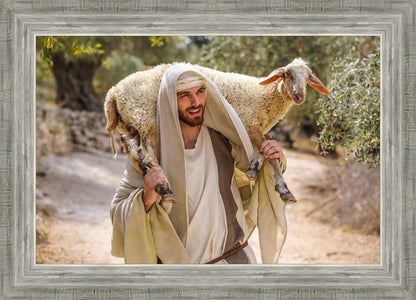 Plate 5 - The Lost is Found